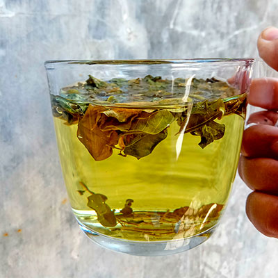 Taza de infusión con hojas secas para destacar los beneficios de la moringa