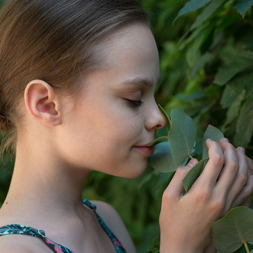 Joven disfrutando del aroma natural para aprovechar las propiedades del eucalipto en las vías respiratorias.