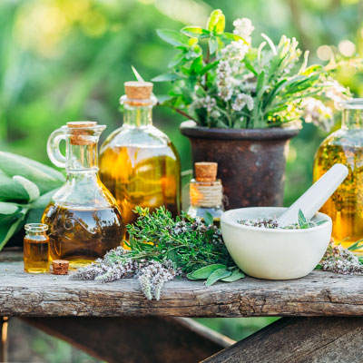 Las plantas medicinales tienen muchos beneficios para la salud.