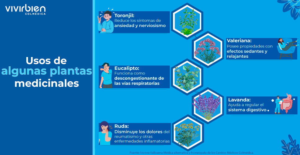 Injfografía que contiene una guia para el uso de algunas plantas medicinales