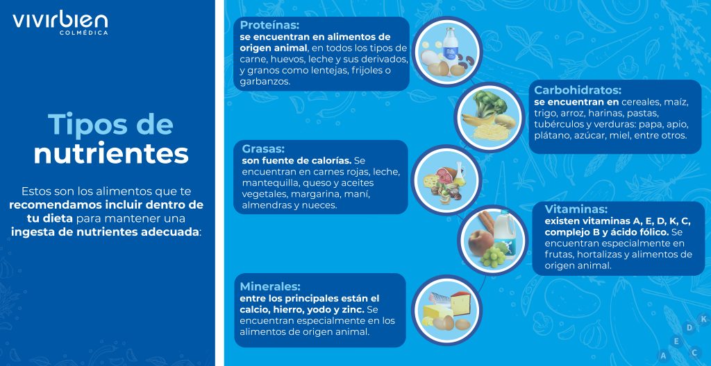 infografia tipos de nutrientes
