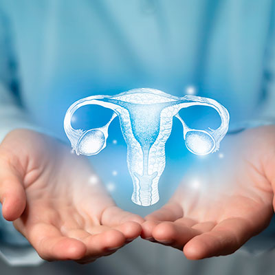 Persona sosteniendo en sus manos un sistema reproductor femenino, útero y ovarios ilustrados para enmarcar los Síntomas que evidencian la presencia del sindrome de ovario poliquistico