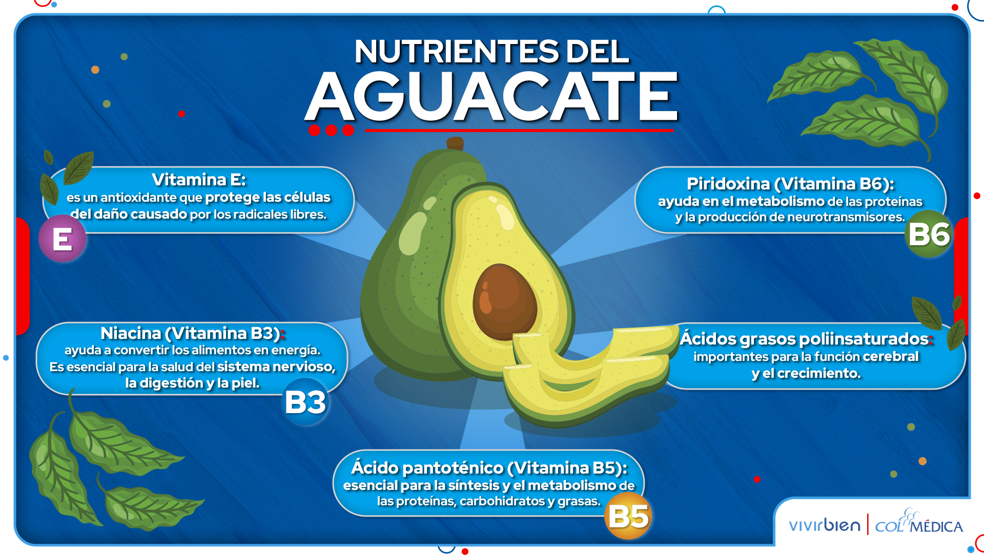 7 Beneficios Del Aguacate Para Tu Salud VivirBien 7 Beneficios Del Aguacate Para Tu Salud VivirBien