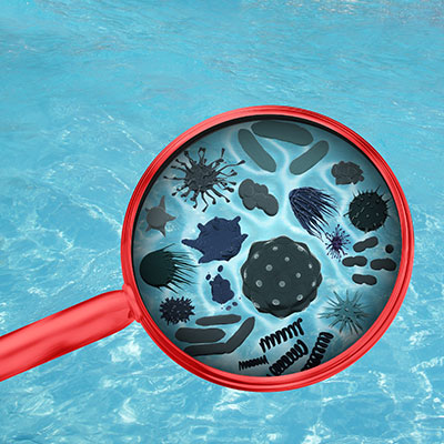 bacterias en las piscinas