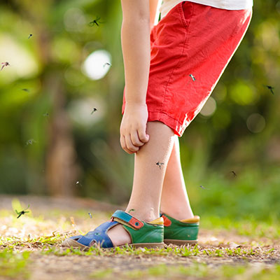 niño atacado por mosquitos dengue