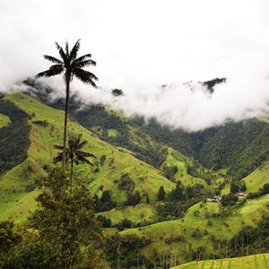 Valle-de-Cocora
